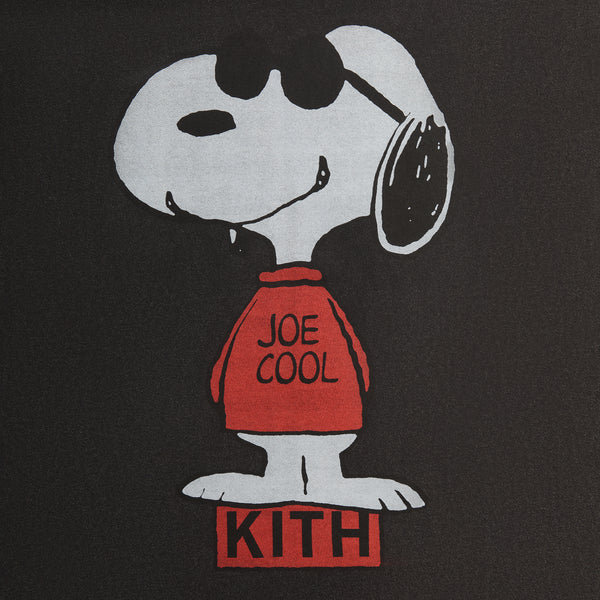 KITH FOR PEANUT JOE COOL VINTAGE TEE