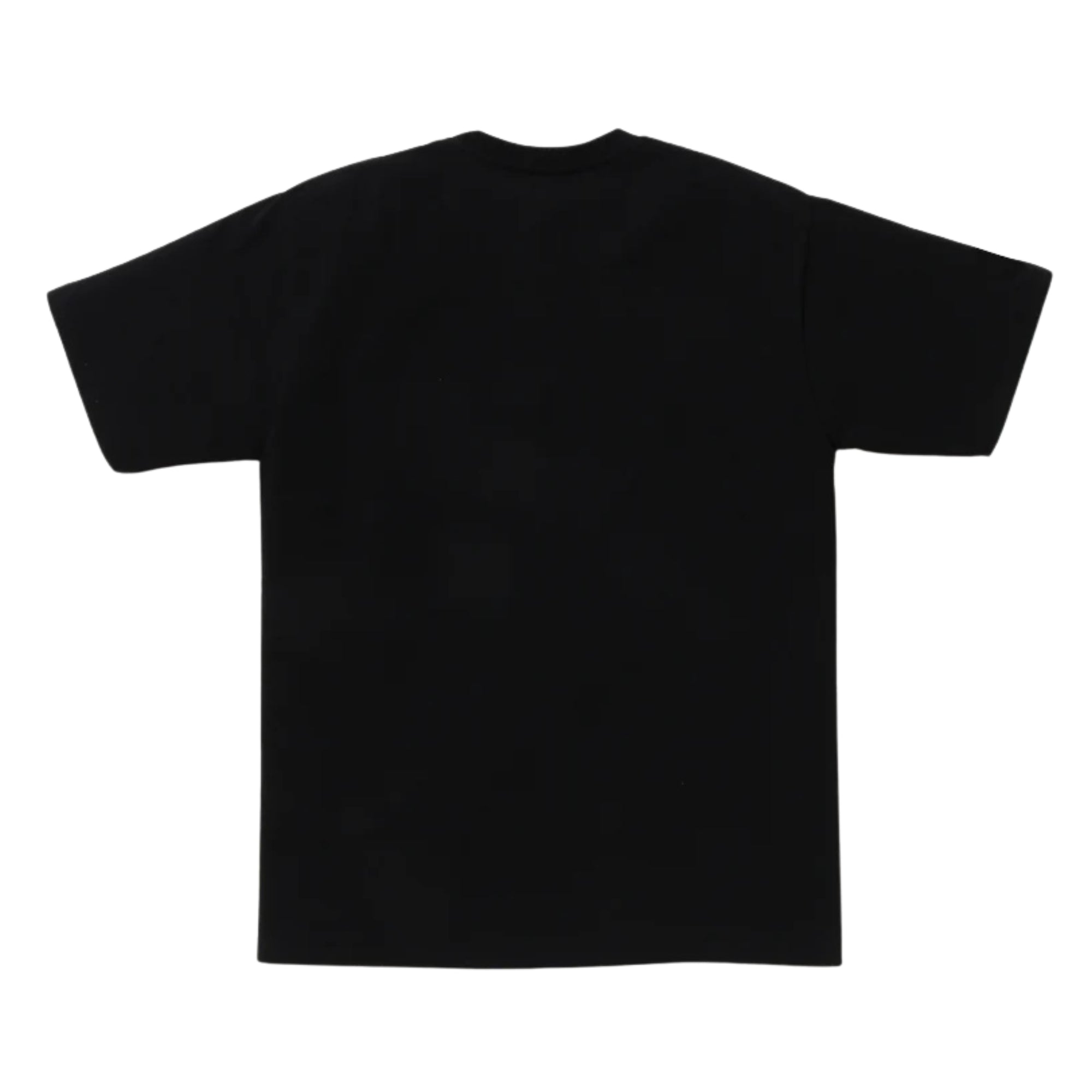 A BATHING APE CARP STREAMER PHOTO APE HEAD TEE