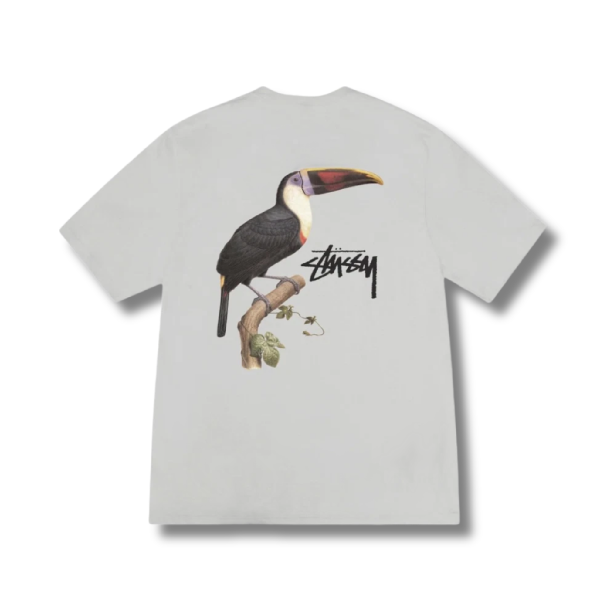 STUSSY TOUCAN TEE / FOG
