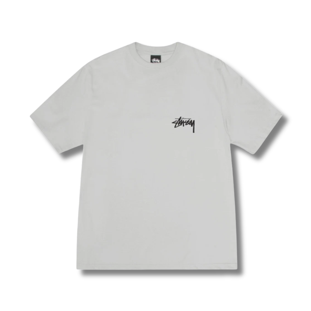 STUSSY TOUCAN TEE / FOG