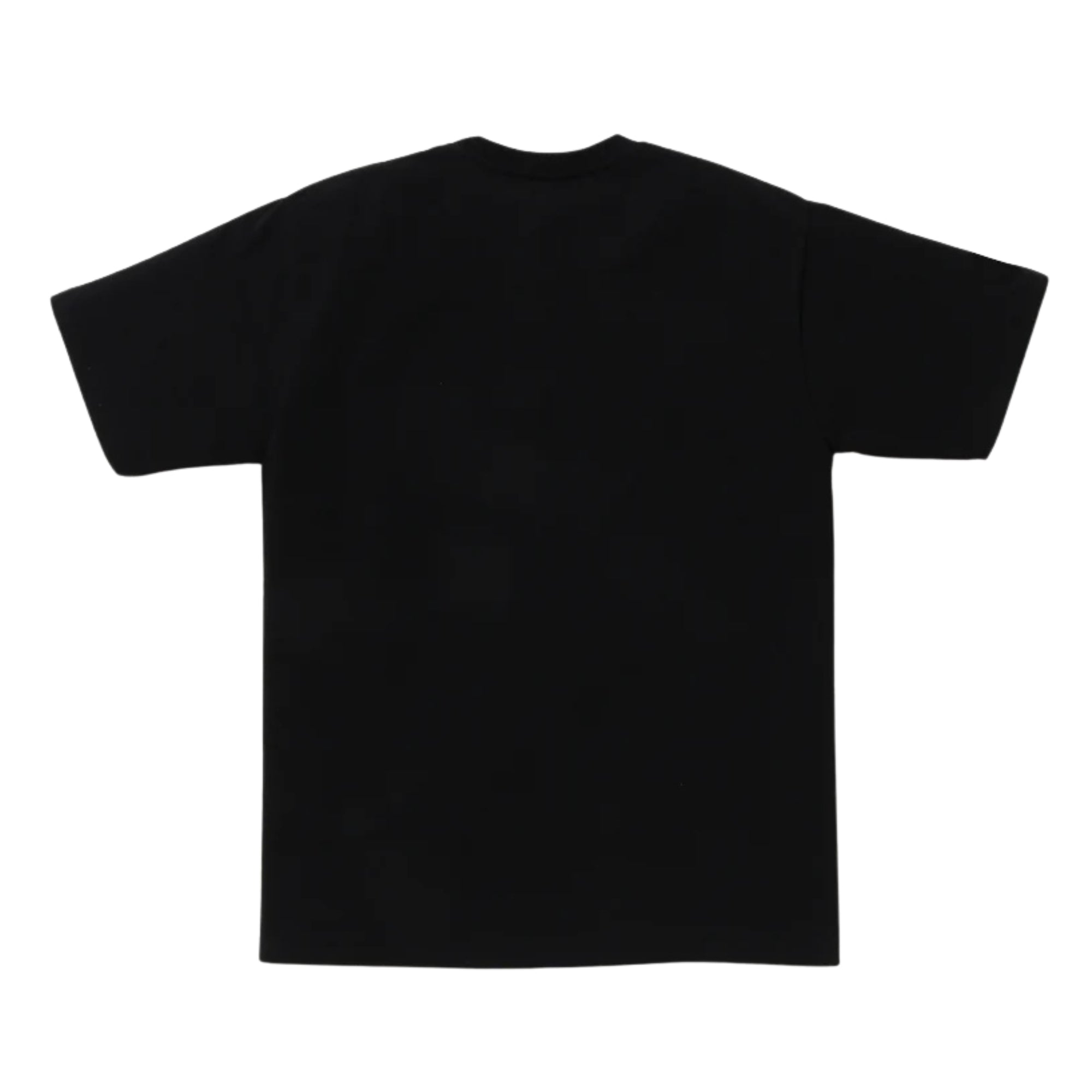 A BATHING APE COLORS COLLEGE TEE